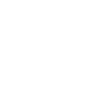 Compliance and Risk Mitigation - Icon 2