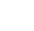 Compliance and Risk Mitigation - Icon 6